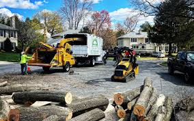 Best Utility Line Clearance  in Minnetonka, MN