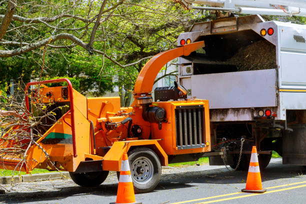 Best Commercial Tree Services  in Minnetonka, MN